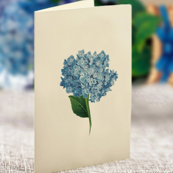 FreshCut Paper Mini Nantucket Hydrangeas Pop-Up Card