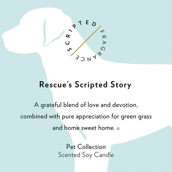 Scripted Fragrance Soy Candle- Rescue
