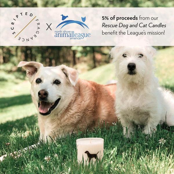 Scripted Fragrance Soy Candle- Rescue