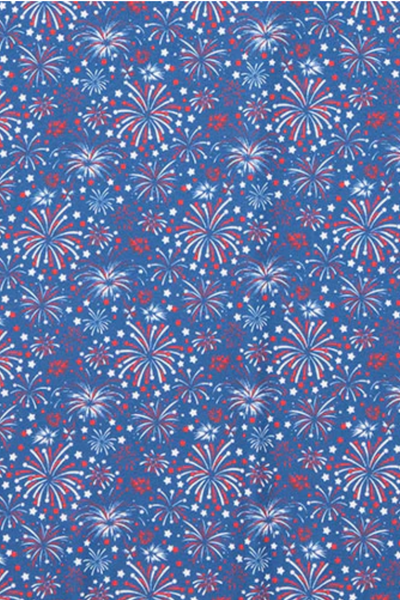 Fairhope Fireworks Print Polo