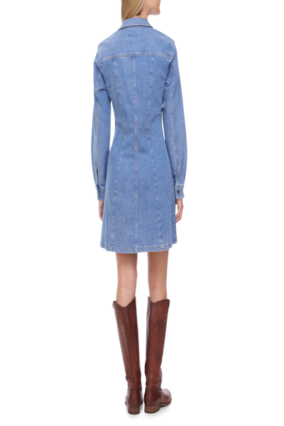 Bloomfield Seam Stretch Denim Dress