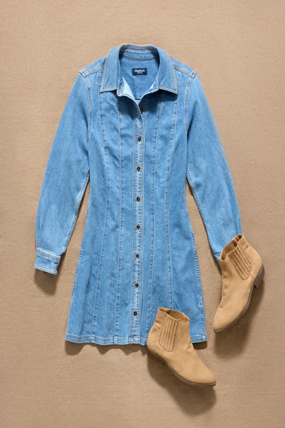 Bloomfield Seam Stretch Denim Dress