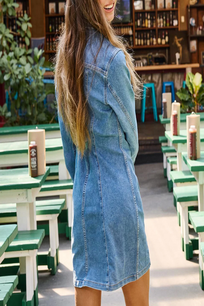 Bloomfield Seam Stretch Denim Dress
