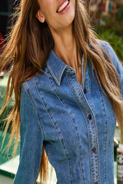 Bloomfield Seam Stretch Denim Dress