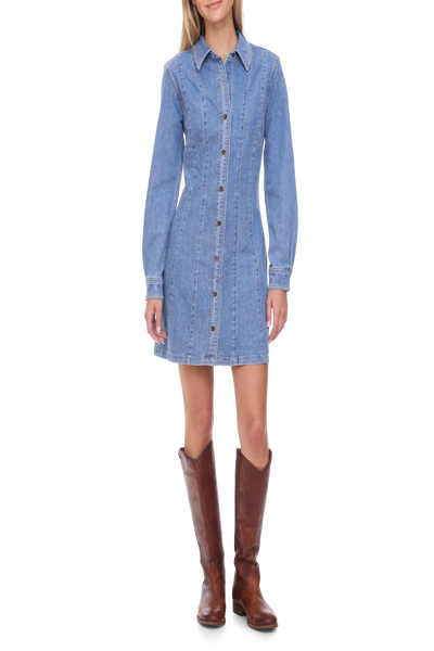 Bloomfield Seam Stretch Denim Dress
