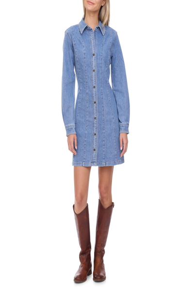 Bloomfield Seam Stretch Denim Dress