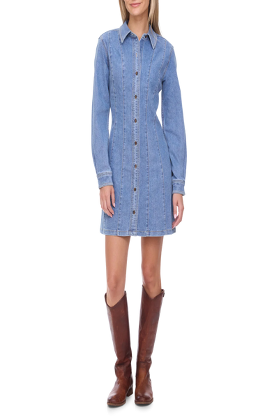 Bloomfield Seam Stretch Denim Dress