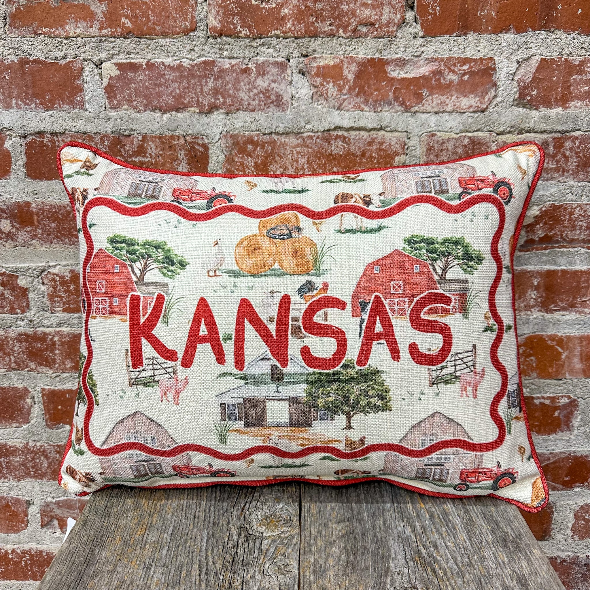 Kansas Farm Pattern Pillow