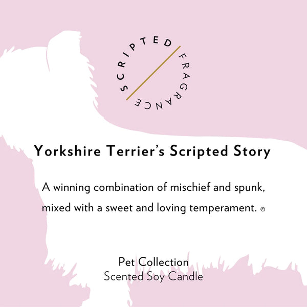 Scripted Fragrance Soy Candle- Yorkshire Terrier