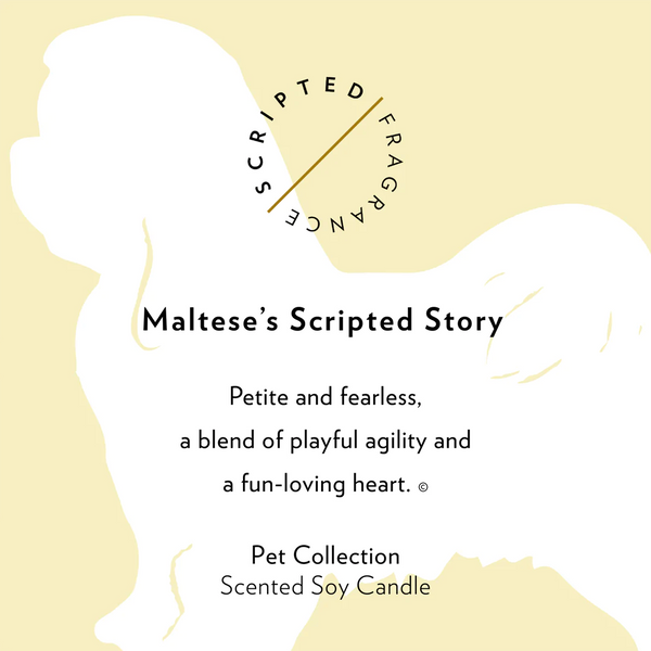 Scripted Fragrance Soy Candle- Maltese